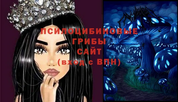 стаф Медвежьегорск