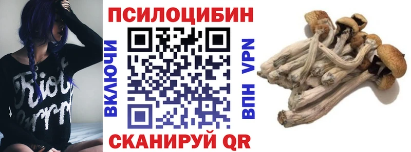 Галлюциногенные грибы Magic Shrooms  Биробиджан 